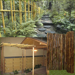 decoracion de patios con caas de bambu