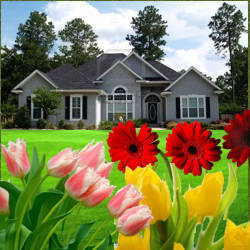 el jardin
