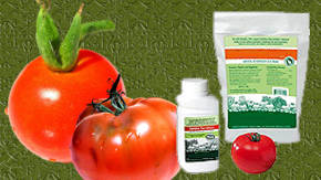 fertilizante para tomate