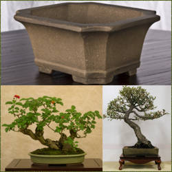 macetas y recipientes para bonsai chinos