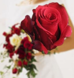 ramos-de-boda-de-flores-rojas-rosas