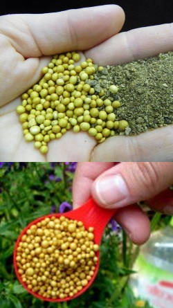 ejemplos de fertilizantes