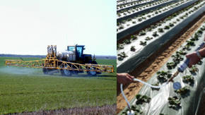 uso de fertilizantes agricolas