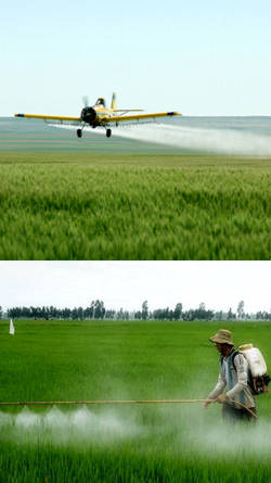utilizacion de fertilizantes rurales