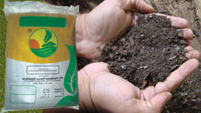 abono natural
