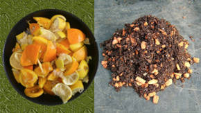 abonadura paravegetales con cascara de citron