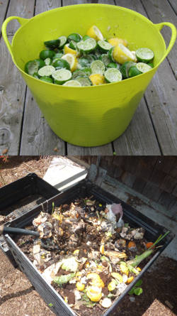 abono para plantas con cascaras de limon