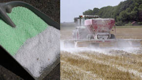 aplicacion del nitrogeno al fertilizante