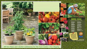 catalogos de jardineria