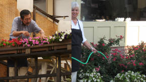 mantenimiento de los modelos de flores