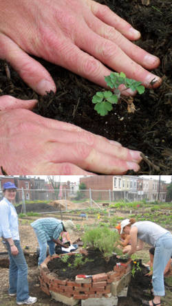 clases de jardineria