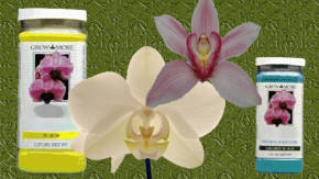 fertilizantes para orquideas