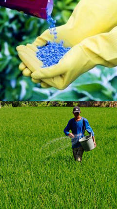 fertilizantes