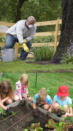 imagenes de jardineria