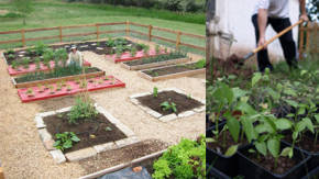horticultura y jardineria