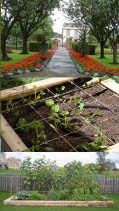 horticultura y jardineria
