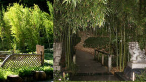 jardineria en bambu