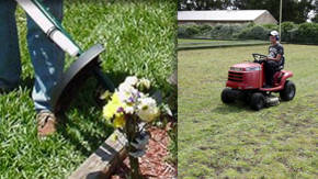 jardineriaen grama