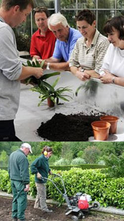 master de floricultura