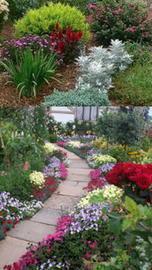 plantas para la floricultura