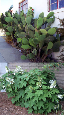 plantas de piso