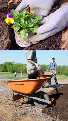 arreglo de tierra de jardineria