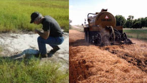 pros y contras del uso de fertilizantes