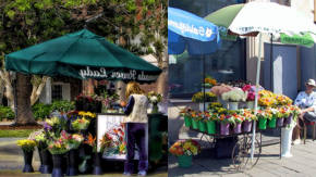 stands de flores