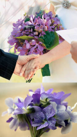 ramos de flores de violetas