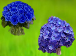 ramos-de-novia-flores-azules