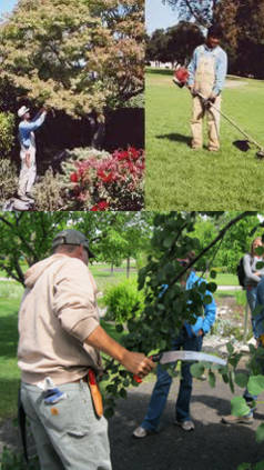 prestaciones de jardineria