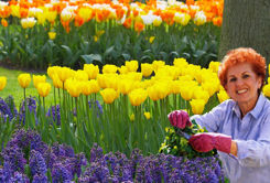 siembra-de-flores-en-el-jardin