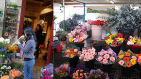 tienda de flores