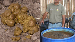 tipos de abono organico