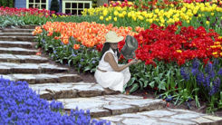 tipos-de-flores-para-jardineria