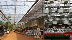 viveros para jardineria