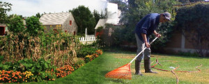 jardineria en otoño