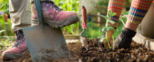 3 consejos basicos para plantar en el jardín