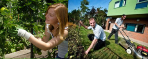 preparar el jardín para el verano