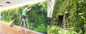mantenimiento de jardines verticales