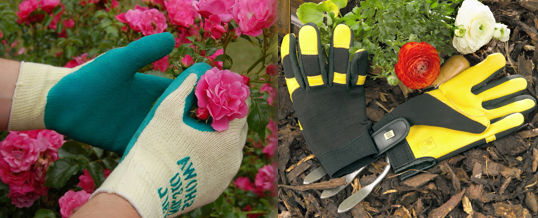 elección de los guantes de jardineria